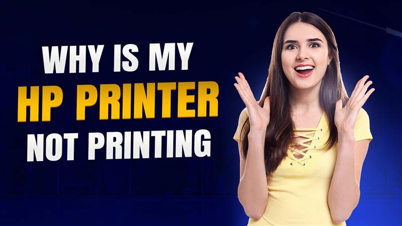 Why Is My HP Printer Not Printing? Quick Fixes & Troubleshooting